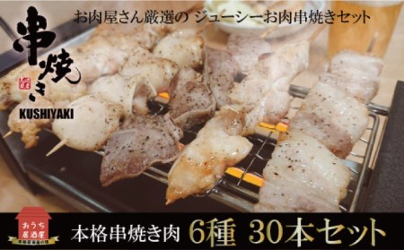 【12回定期便】【おうちで 焼き鳥 屋さん！】 串焼き 盛り合わせ 6種類 30本セット / やきとり ヤキトリ 焼鳥 串セット 国産 冷凍 小分け / 南島原市 / ふるさと企画 [SBA026]