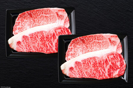 牛肉 宮崎牛 A4 A5 等級 ロースステーキ 200g×4 計800g [日本ハムマーケティング株式会社 宮崎サテライト 宮崎県 日向市 452060701]