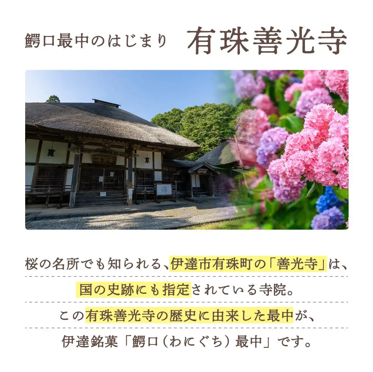 [5525-0764]伊達銘菓 有珠善光寺  鰐口最中 20個セット（10個入×2箱）