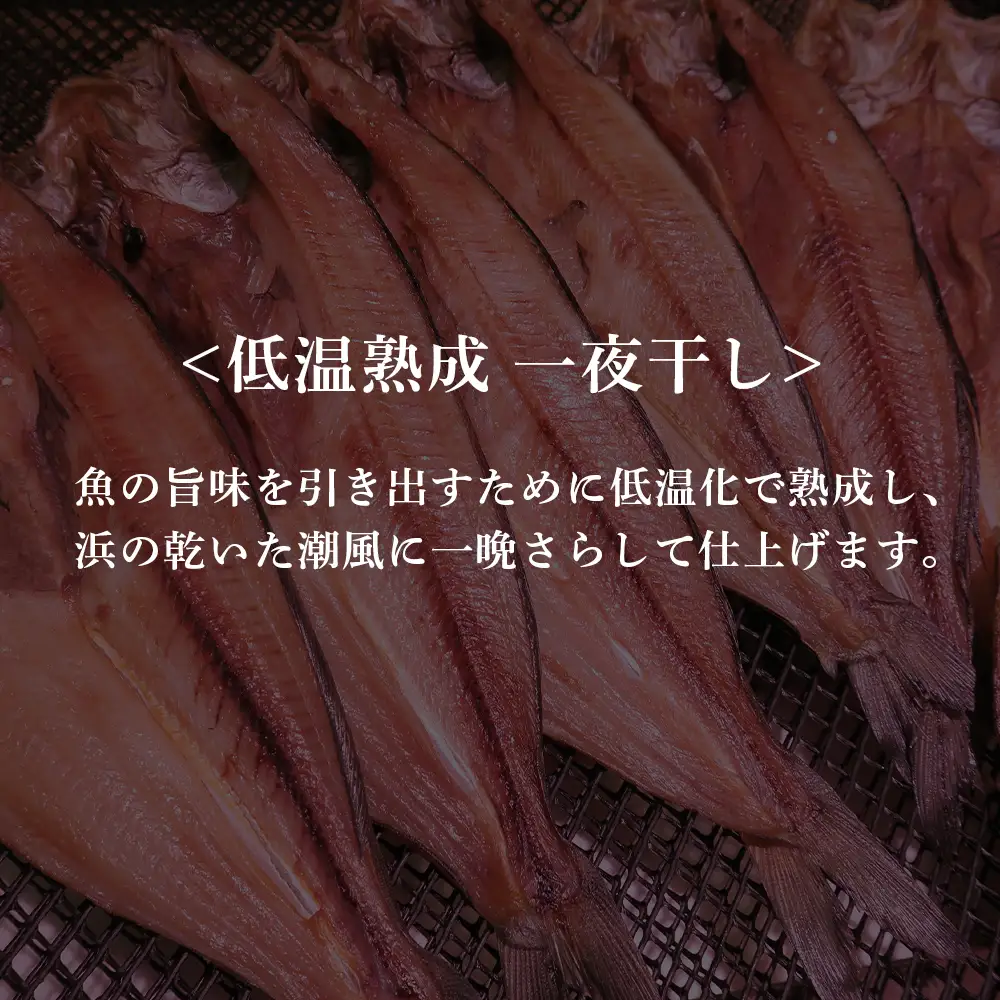 低温熟成 一夜干し 特大 真ほっけ ２尾 ＜北海道産＞  AA024