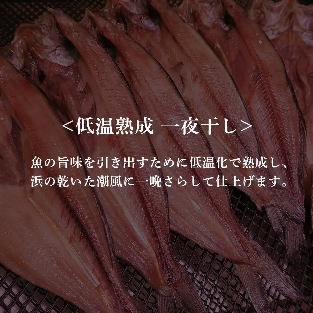 低温熟成 一夜干し 真ほっけ・ひと汐さば セット AA026