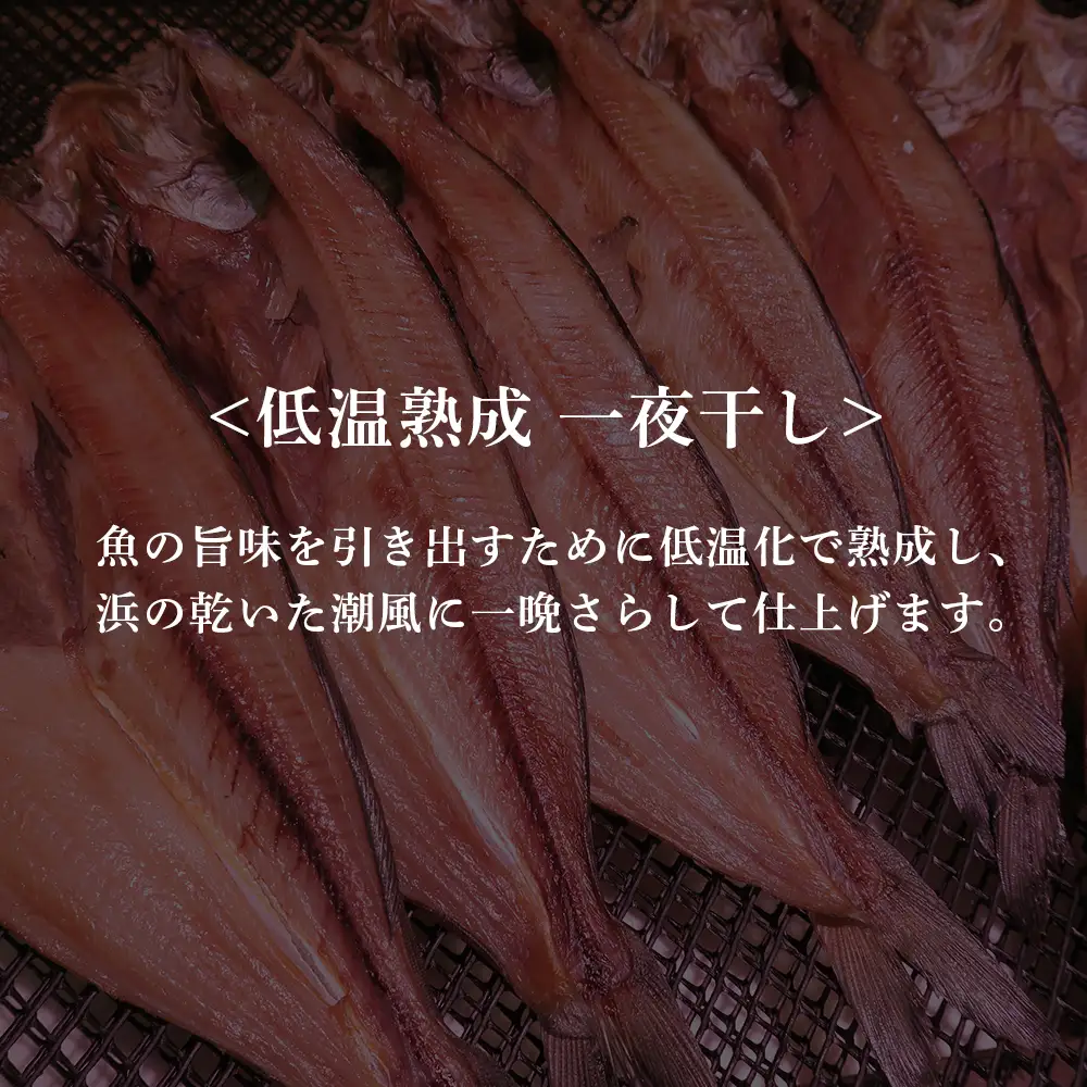 2ヶ月に1度 定期便 全3回 低温熟成 一夜干し お楽しみ 詰め合わせ AA028