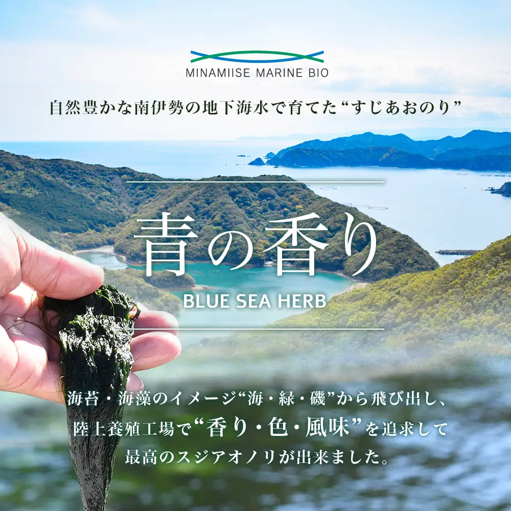 すじあおのり 5ｇ×2パック 南伊勢 青の香り / 海藻