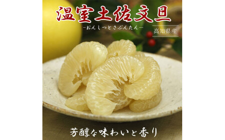【先行予約】12月発送土佐文旦 文旦 贈答用 約3kg 中玉6個もしくは大玉5個入り〈2026年12月上旬〜2027年1月中旬頃発送〉  / ハウス文旦 温室土佐文旦 特選秀品ご贈答用中箱 柑橘 みかん フルーツ ぶんたん【白木果樹園】 [BQAI035]