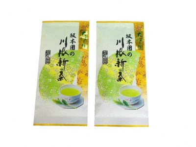 11-53 新茶 静岡川根茶大走り新茶100g×2本