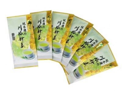 33-12 新茶 静岡川根茶大走り新茶100g×6本