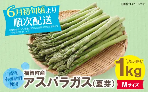 Y18-22-01 清流・有機肥料使用 アスパラガス(夏芽) 1kg(M) 【2026年6月より順次配送開始】 
