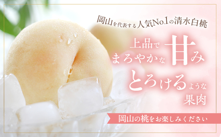 桃 2026年 先行予約 訳あり品 清水 白桃 約1.8kg 5～7玉 もも モモ フルーツ 果物 岡山 赤磐市産 農マル園芸 あかいわ農園 甘い 果肉 人気 