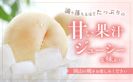 桃 2026年 先行予約 訳あり品 白桃 白鳳 約1.8kg 5～7玉 もも モモ フルーツ 果物 岡山 赤磐市産 農マル園芸 あかいわ農園 甘い 果肉 人気 