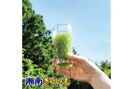 【湘南きくいも】ふじさわ観光名産品セット
