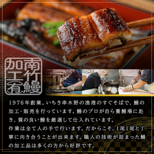 ＜希少＞ 鹿児島県産 うなぎ 肝串 20本 うなぎ【00-025-02】