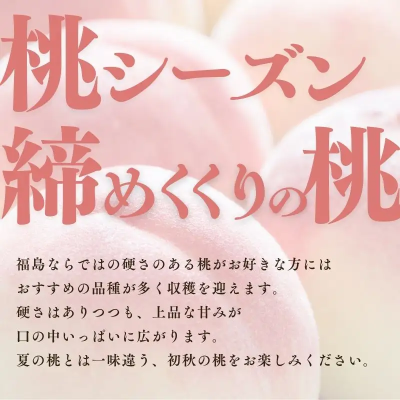 No.2408福島 桃　晩成種約3kg【2026年発送】