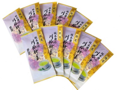22-11 新茶 静岡川根茶　特選新茶100g×10本