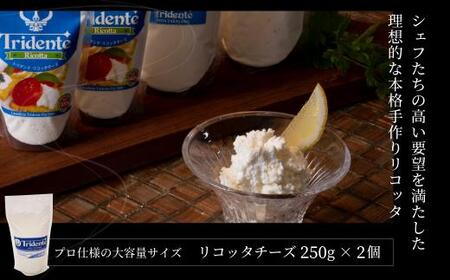 飛騨生乳100％ リコッタチーズ 2個（1個250g）| リコッタ 冷蔵 サラダ お菓子 前菜 サラダ 新鮮 生乳 国産 低温殺菌 乳製品 無添加 大容量 業務用サイズ 飛騨高山 チーズ工房トリデンテ LF006