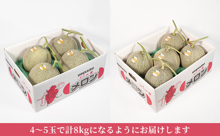 【2026年6月～発送】富良野メロン 4～5玉 計約8kg (NORTH FUN) メロン フルーツ 果物