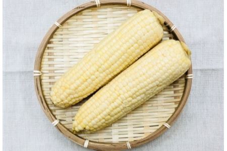 ［先行受付］おとふけ「木野シャイニングコーンホワイト」セット【A15】