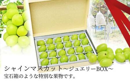 〈先行予約2026年発送〉 山形県産シャインマスカット ジュエリーBOX マスカット ぶどう ブドウ 葡萄 デザート フルーツ 果物 くだもの 果実 食品 山形県 FSY-0006