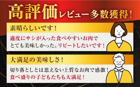 【定期便】 牛肉 佐賀牛切り落とし 総計3.0kg NAB053 牛肉 全3回