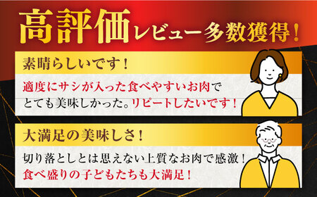 【定期便】 牛肉 佐賀牛切り落とし 総計6.0kg NAB054 牛肉 全6回