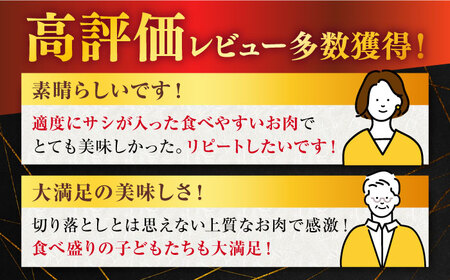 【定期便】 牛肉 佐賀牛切り落とし 総計12.0kg NAB055 牛肉 全12回