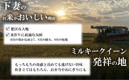 米 令和7年産ミルキークイーン 12kg 6ヶ月連続お届け 1月発送
