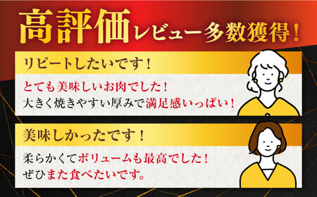 【定期便】 牛肉 佐賀牛ステーキ A5 総計4.8kg NAB070 牛肉 全12回