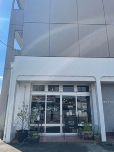 ちになるシロップ 大和当帰×生姜 800ml 3本 セット／POWER OF FOOD ふるさと納税 大和当帰葉 有機 奈良県 宇陀市