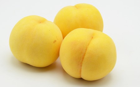山形の黄桃 約3kg(6～13玉)[柔らかくなる品種・果肉やや硬め]【令和8年産先行予約】FU22-055 くだもの 果物 フルーツ 山形 山形県 山形市 2026年産