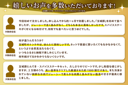 玉城豚とんてき・スパイスステーキセット[玉城豚 ロース とんてき ステーキ]