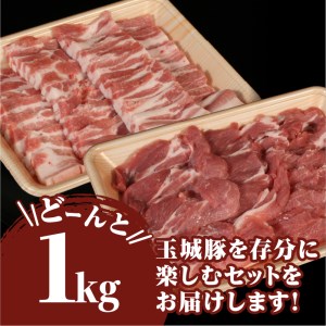玉城豚焼肉セット [肉 豚肉]