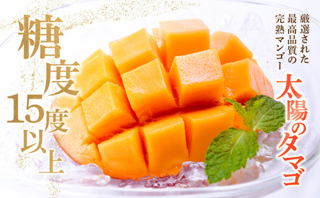 《2026年発送先行予約》【数量・期間限定】宮崎県産 太陽のタマゴ 2玉 国産 マンゴー 完熟 完熟マンゴー 厳選 冷蔵 フルーツ 果物 旬の果物 くだもの 特産品 お取り寄せ 贈答 ギフト