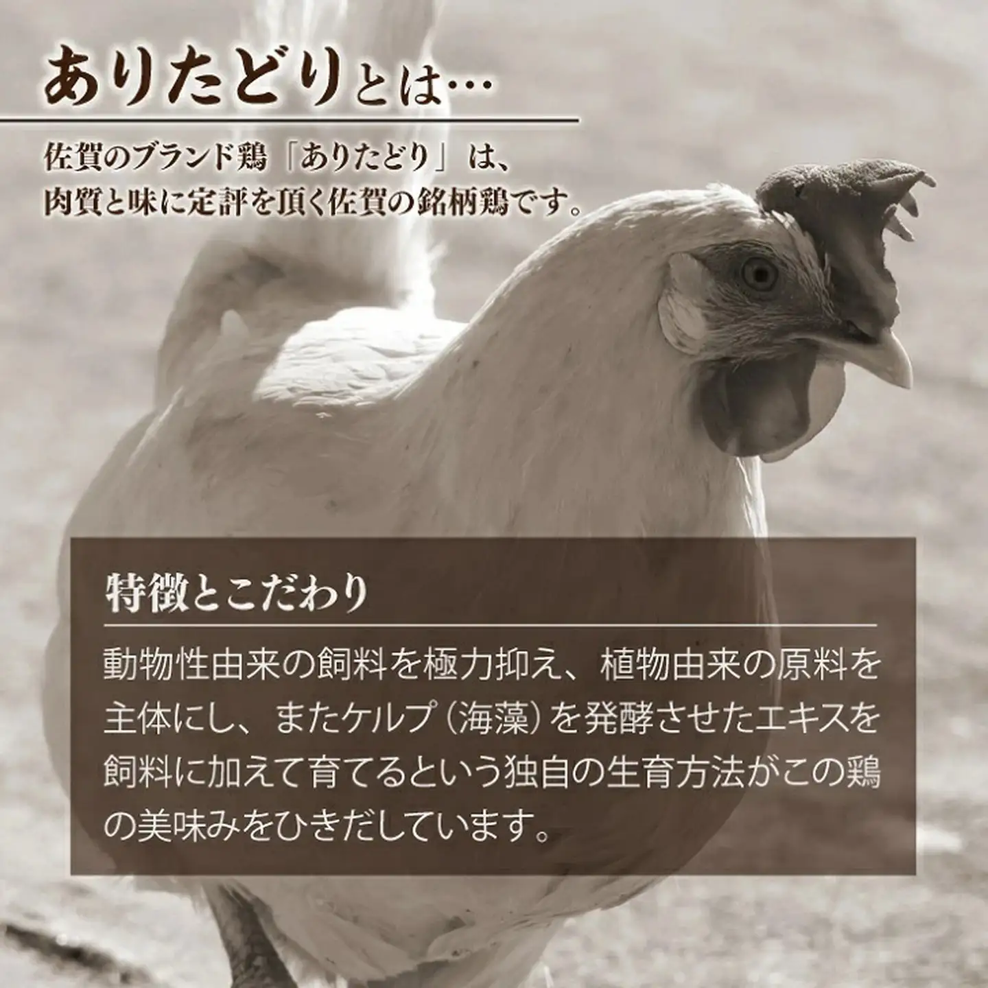 嬉しい真空小分け2.0kg！佐賀ブランド「ありたどり」豊富なたんぱく 鶏胸肉（4~6枚）：B100-036