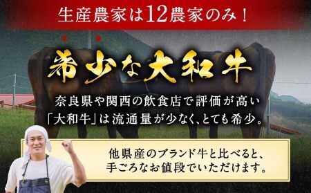 上質和牛 ブランド豚 大和牛肩ロース切落し・ヤマトポークロース切落しセット 黒毛和牛 国産牛肉 U-11