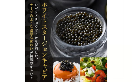 【純国産キャビア】ホワイトスタージョンキャビア 20g 皇帝の涙 国産 チョウザメ 魚卵 宮崎県