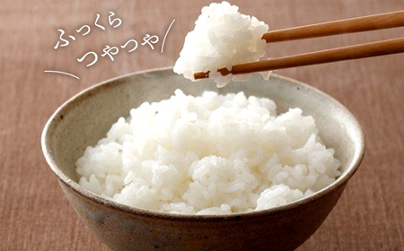 【令和7年産】茨城県産 コシヒカリ20kg (10kg×2袋) 白米 JA茨城むつみ こしひかり K2087