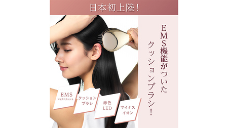 WAVEWAVE EMS Brush Air クッションブラシ ブラック