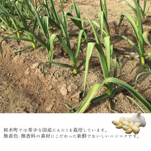 九州産 おろし にんにく 1kg