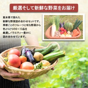【定期便4回】春夏秋冬!季節の新鮮 フルーツ ・ 野菜 セット(6～10品目) (詰め合わせ）
