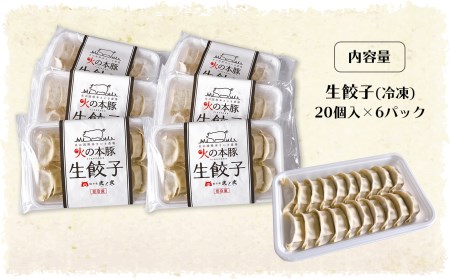 火の本 豚 餃子 （20個×6パック）120個入 豚肉