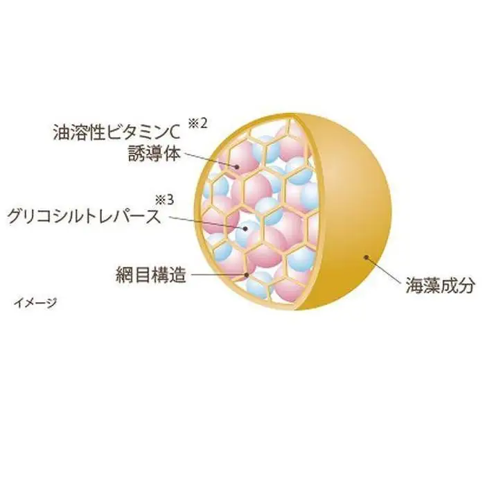 【箔一】金華ゴールド　カプセルEX　N