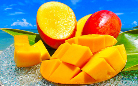 フルーツ【2026年発送】久米島印商店 完熟マンゴー約1kg&パイナップル（Ｎ67-10）2個（1.5kg以上×2） マンゴー パイナップル 