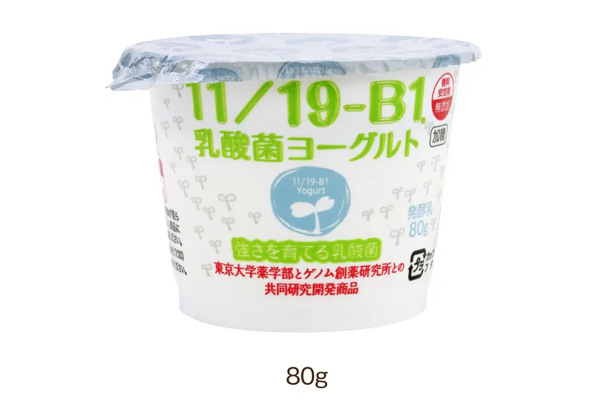 11／19-B1乳酸菌ヨーグルト2箱(1箱8個入り)　【07214-0023】