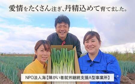 鳥取県産　【訳あり】白ネギ4kg