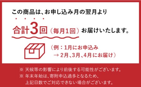 【3回定期便】フルーツ定期便  贅沢宝庫 [SDZ024]
