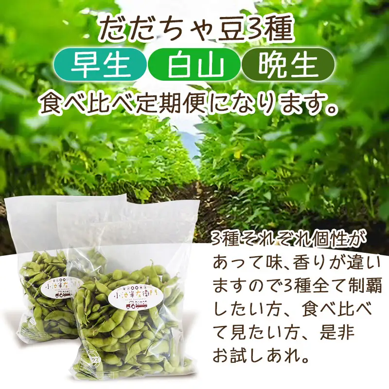 【定期便】【令和8年産先行予約】朝採りだだちゃ豆 食べ比べ 1.5kg (500g×3袋)×3回 お届け 早生・白山・晩生 枝豆　小池半左衛門