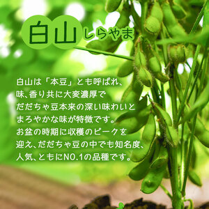【令和8年産先行予約】朝採りだだちゃ豆 【白山】1.5kg (500g×3袋) 枝豆　小池半左衛門