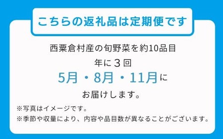 西粟倉村 旬の野菜おまかせセット｜春・夏・秋 年3回定期便【配送不可地域：北海道・沖縄・離島】 F-FF-B00A