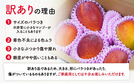 【 2026年 先行予約 】 訳あり 田中マンゴー園 完熟 アップル マンゴー 約 2kg（ 4～8玉 ）（ ご家庭用 ） W001-008u わけあり 果物