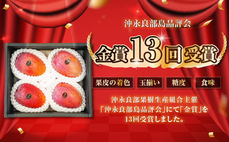 【 2026年 先行予約 】 沖永良部 完熟 アップル マンゴー 4～6玉で2kg W001-010u 果物