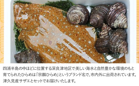 宗麟ひらめ・サザエの詰合せセット | サザエ 津久見市